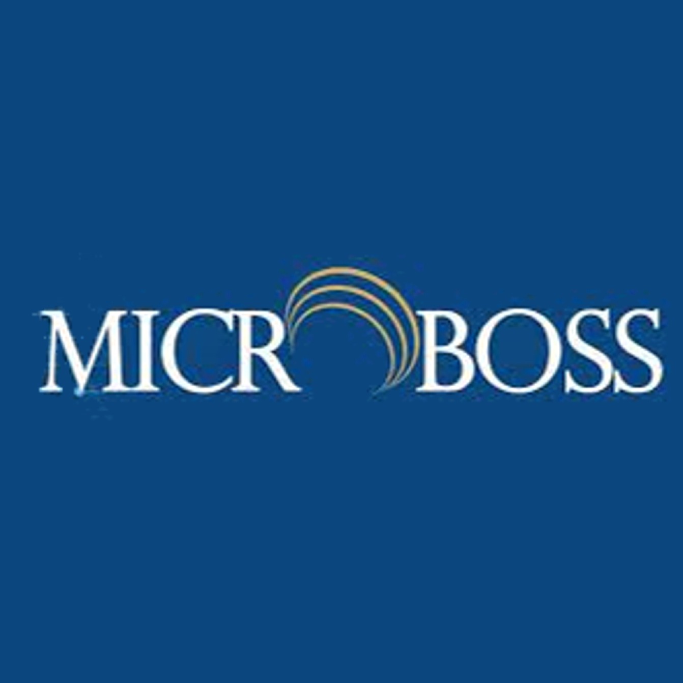 microboss_partners_dnsafrica_ngdnsforum